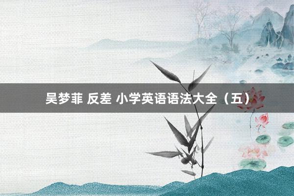 吴梦菲 反差 小学英语语法大全（五）