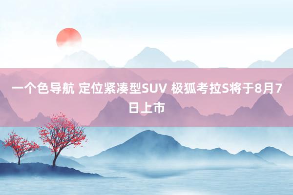 一个色导航 定位紧凑型SUV 极狐考拉S将于8月7日上市