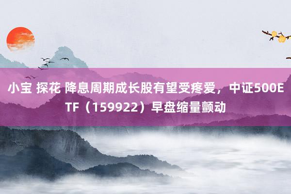 小宝 探花 降息周期成长股有望受疼爱，中证500ETF（159922）早盘缩量颤动