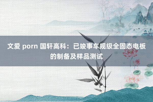 文爱 porn 国轩高科：已竣事车规级全固态电板的制备及样品测试