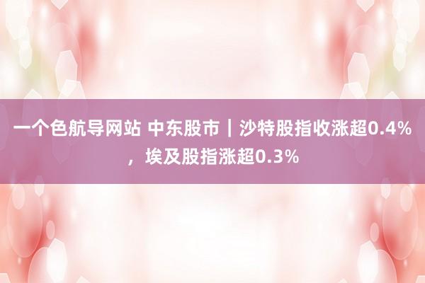 一个色航导网站 中东股市｜沙特股指收涨超0.4%，埃及股指涨超0.3%