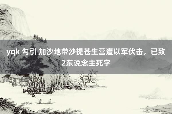 yqk 勾引 加沙地带沙提苍生营遭以军伏击，已致2东说念主死字