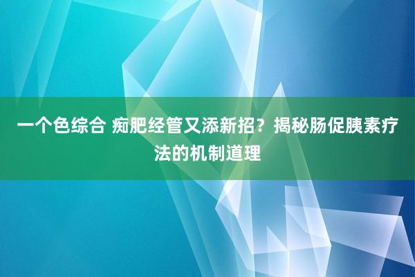 一个色综合 痴肥经管又添新招？揭秘肠促胰素疗法的机制道理