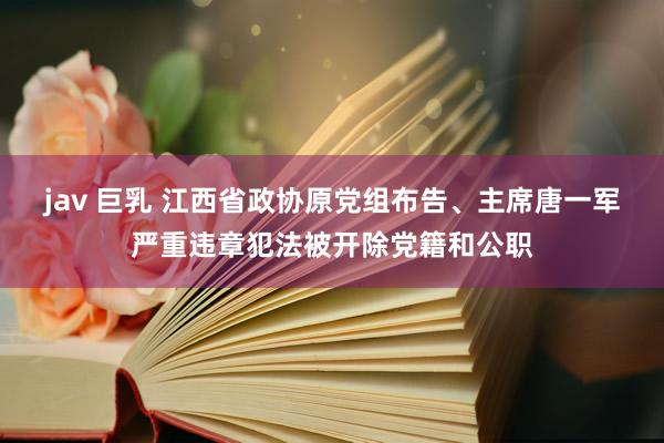 jav 巨乳 江西省政协原党组布告、主席唐一军严重违章犯法被开除党籍和公职