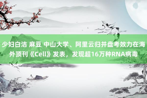 少妇白洁 麻豆 中山大学、阿里云归并盘考效力在海外顶刊《Cell》发表，发现超16万种RNA病毒