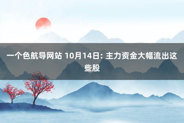一个色航导网站 10月14日: 主力资金大幅流出这些股