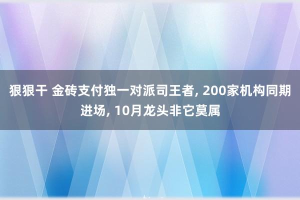 狠狠干 金砖支付独一对派司王者， 200家机构同期进场， 10月龙头非它莫属