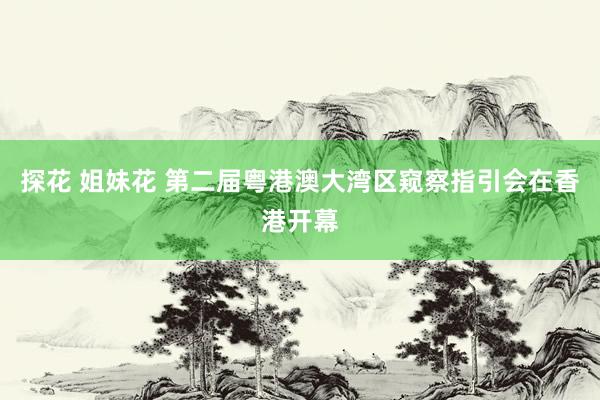 探花 姐妹花 第二届粤港澳大湾区窥察指引会在香港开幕
