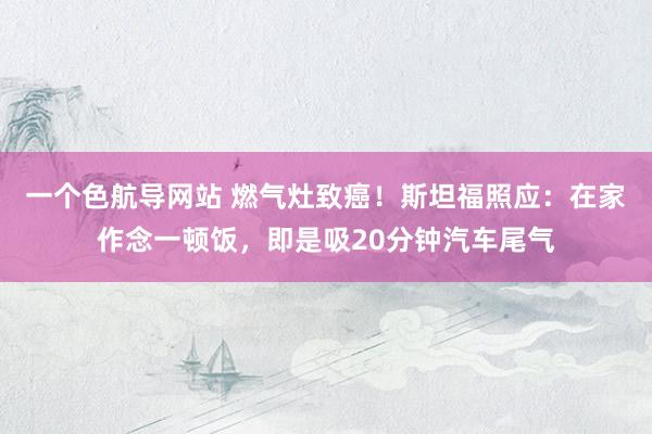 一个色航导网站 燃气灶致癌！斯坦福照应：在家作念一顿饭，即是吸20分钟汽车尾气