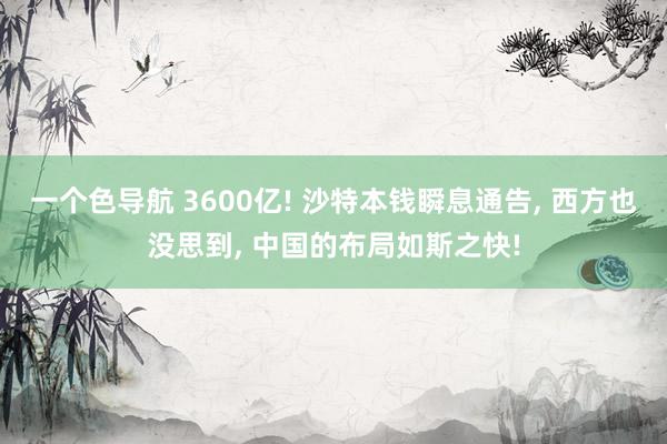 一个色导航 3600亿! 沙特本钱瞬息通告， 西方也没思到， 中国的布局如斯之快!