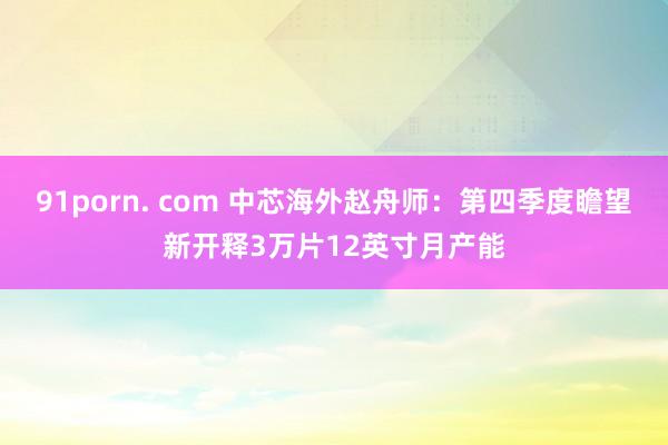 91porn. com 中芯海外赵舟师：第四季度瞻望新开释3万片12英寸月产能