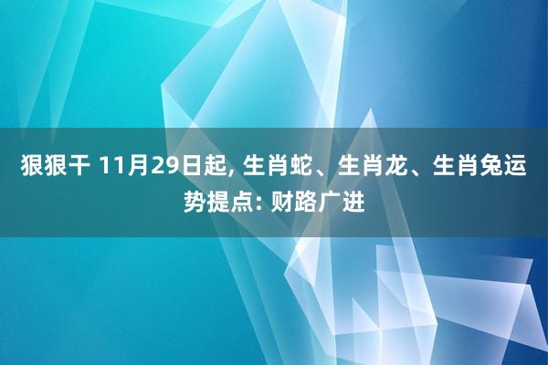 狠狠干 11月29日起， 生肖蛇、生肖龙、生肖兔运势提点: 财路广进