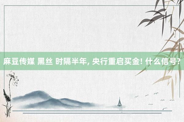 麻豆传媒 黑丝 时隔半年， 央行重启买金! 什么信号?