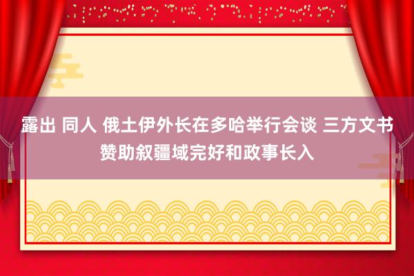 露出 同人 俄土伊外长在多哈举行会谈 三方文书赞助叙疆域完好和政事长入