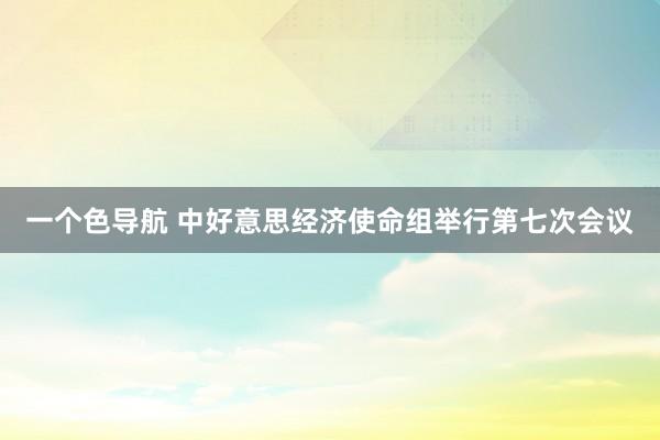 一个色导航 中好意思经济使命组举行第七次会议