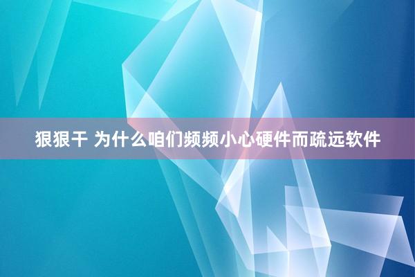 狠狠干 为什么咱们频频小心硬件而疏远软件