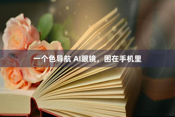 一个色导航 AI眼镜，困在手机里