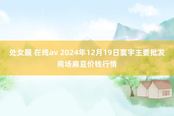 处女膜 在线av 2024年12月19日寰宇主要批发商场扁豆价钱行情