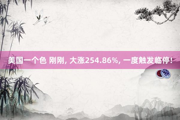 美国一个色 刚刚， 大涨254.86%， 一度触发临停!