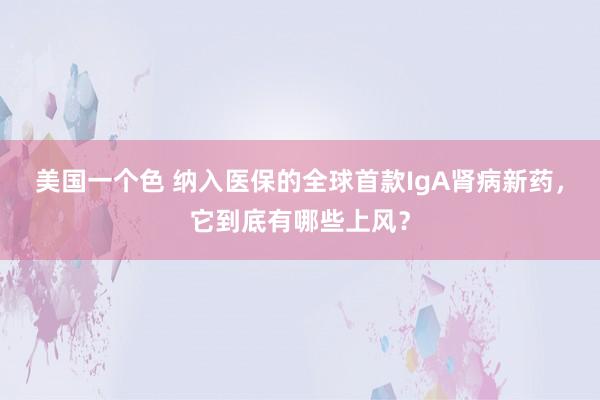 美国一个色 纳入医保的全球首款IgA肾病新药，它到底有哪些上风？