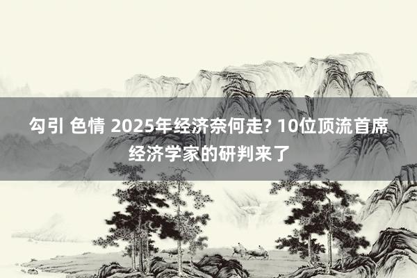 勾引 色情 2025年经济奈何走? 10位顶流首席经济学家的研判来了