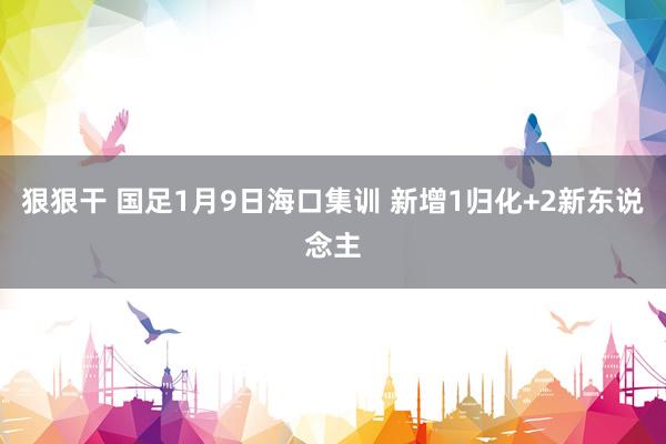 狠狠干 国足1月9日海口集训 新增1归化+2新东说念主